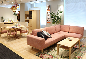 カリモク家具　お台場ショールーム　プレミアムオーダー　ソファ＆ダイニング