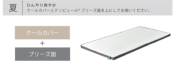 テンピュール® フトン オールシーズンズ